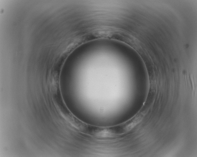 X0000065240460200602242029