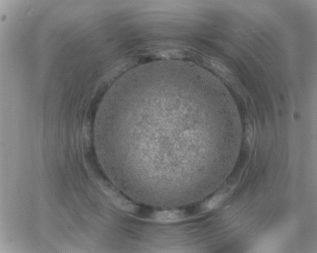 X0000065240461200602242029