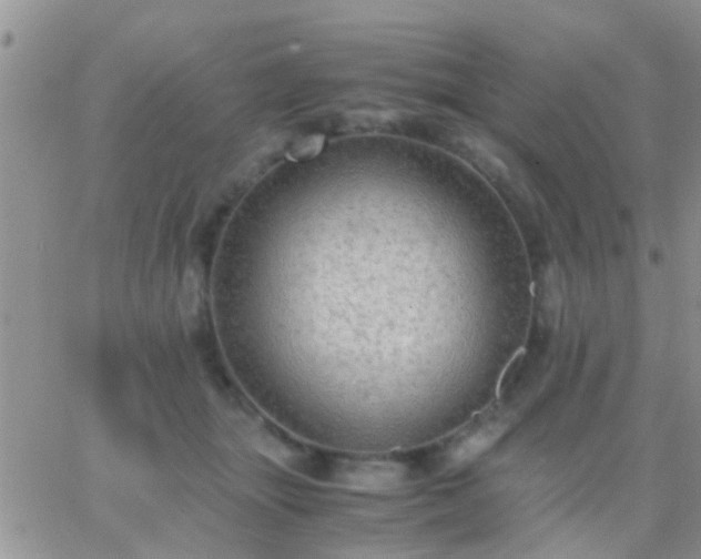 X0000065240463200602242029