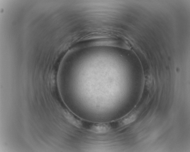 X0000065240466200602242029