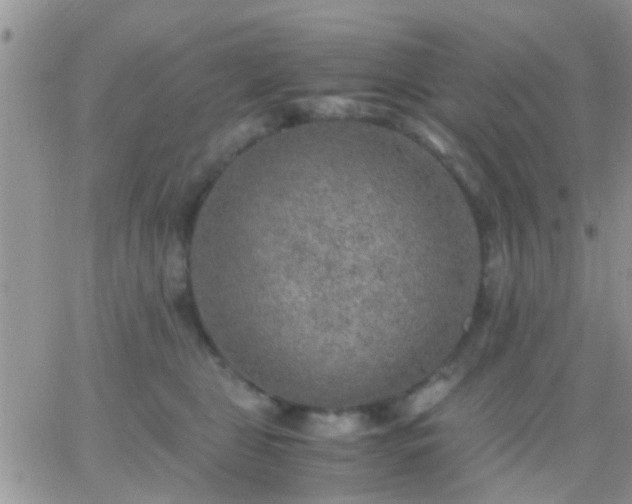 X0000065240469200602242029