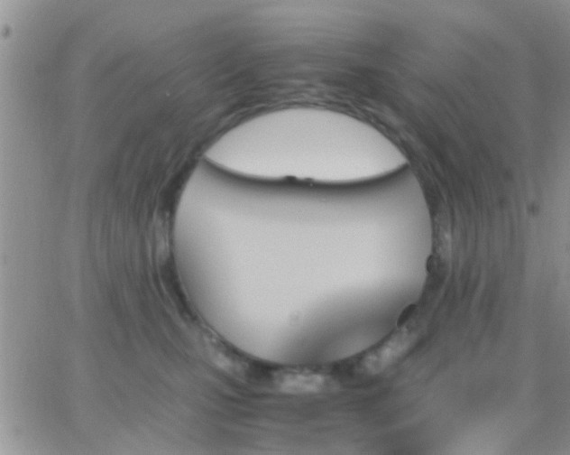 X0000065240471200602242029