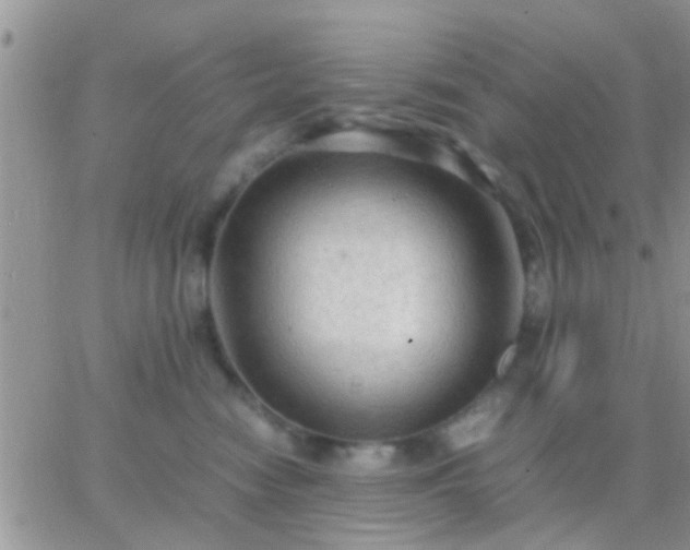 X0000065240474200602242029