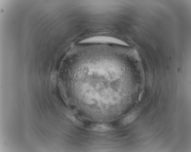 X0000065240475200602242029