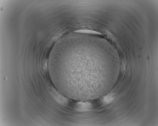 X0000065240477200602242029