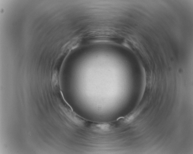 X0000065240478200602242029