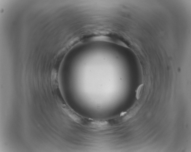 X0000065240480200602242029