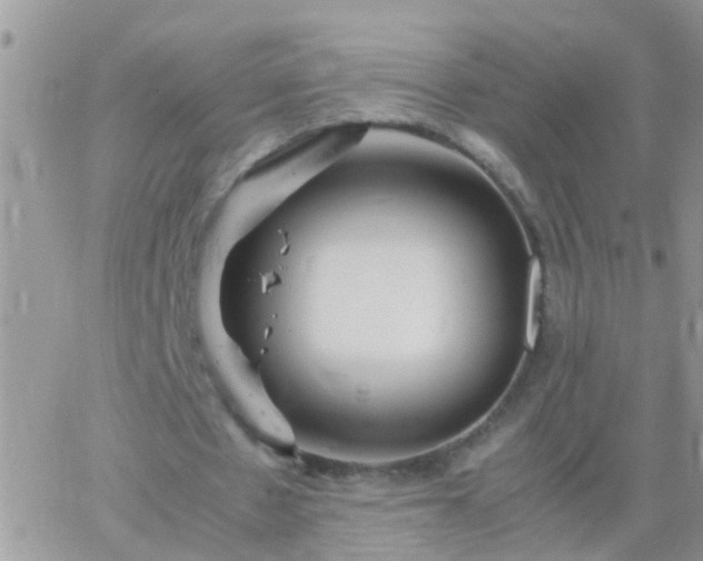 X0000065240481200602242028