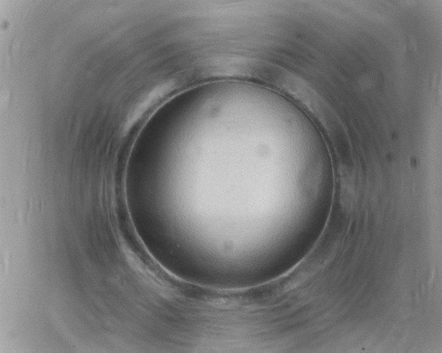 X0000065240482200602242028