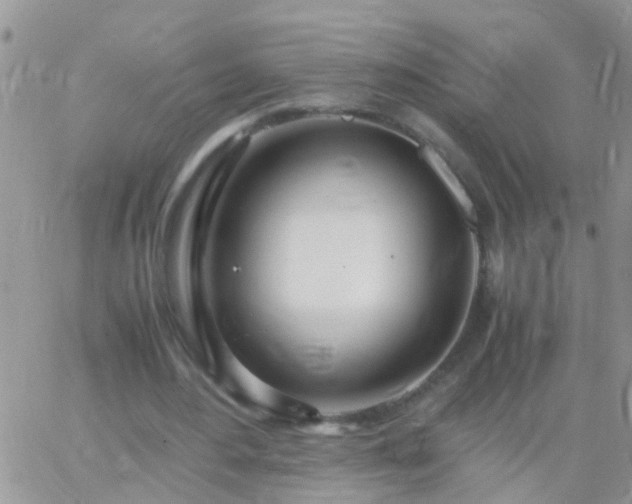 X0000065240484200602242028