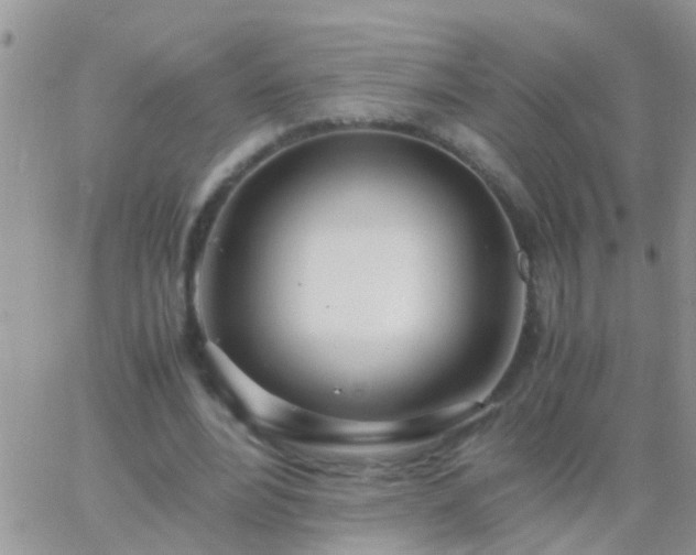 X0000065240488200602242028