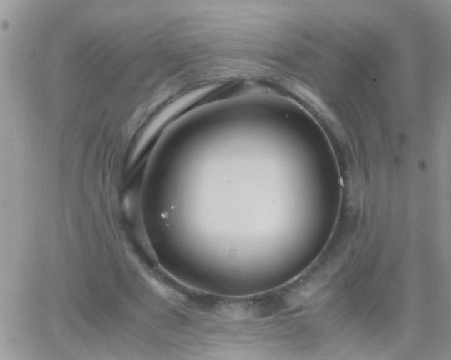 X0000065240489200602242028