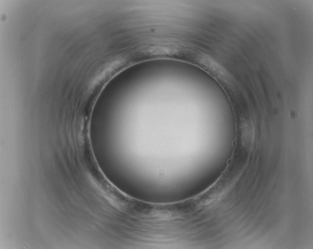 X0000065240490200602242028