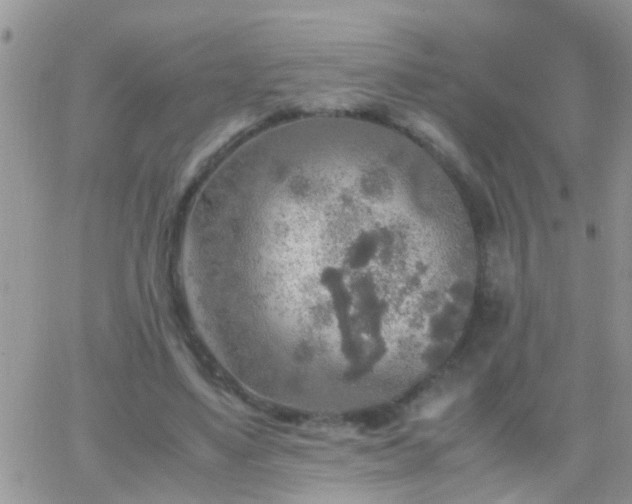 X0000065240491200602242028