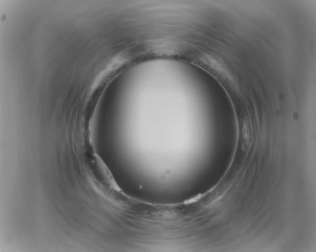 X0000065240492200602242028