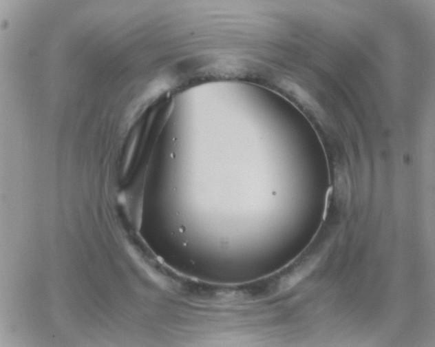 X0000065240493200602242028