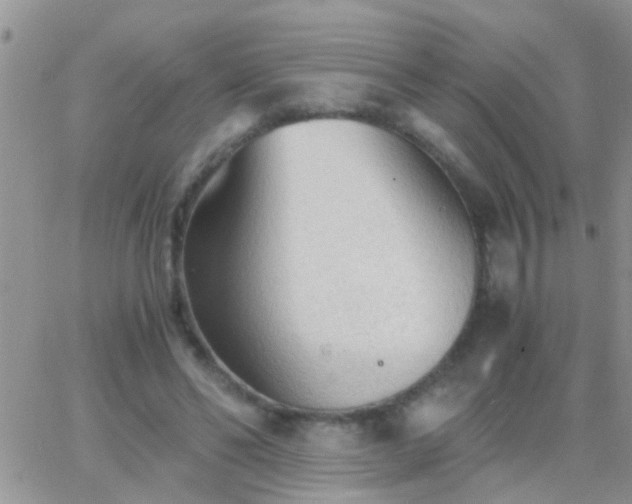 X0000065240494200602242028