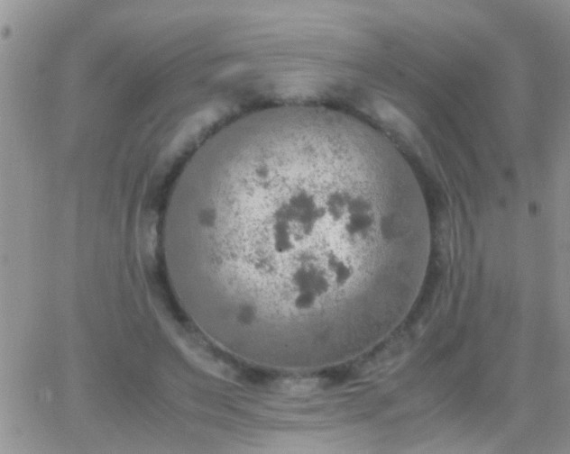 X0000065240495200602242028