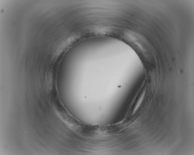 X0000065240496200602242028