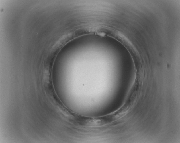 X0000065240497200602242028