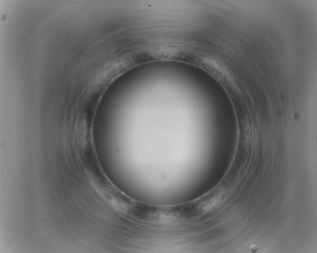 X0000065240498200602242028