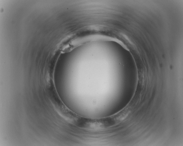 X0000065240500200602242028