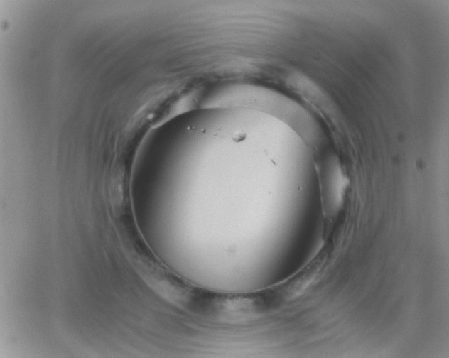 X0000065240501200602242028