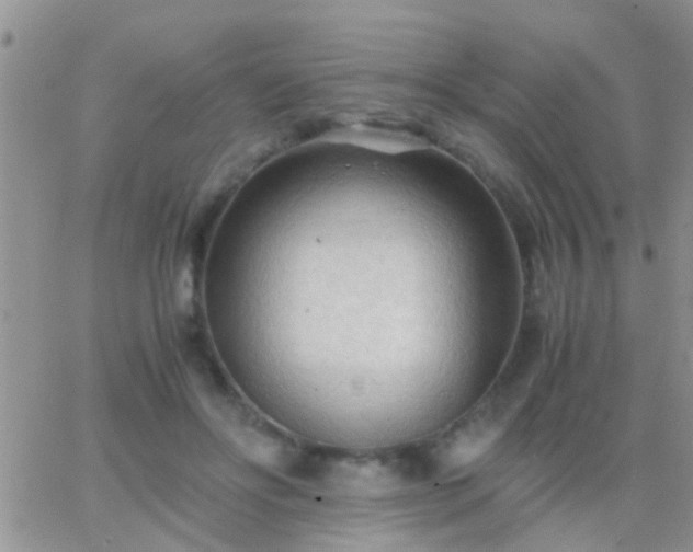 X0000065240502200602242028