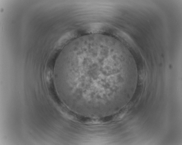 X0000065240503200602242028