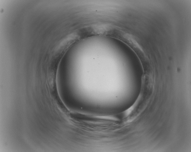 X0000065240505200602242028