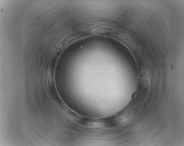 X0000065240506200602242028