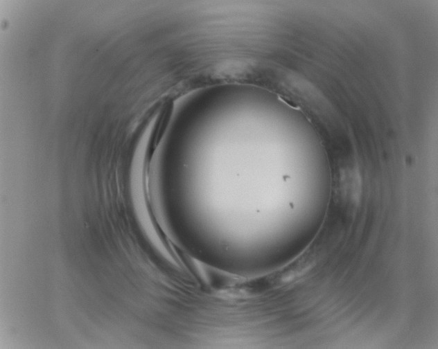 X0000065240508200602242028