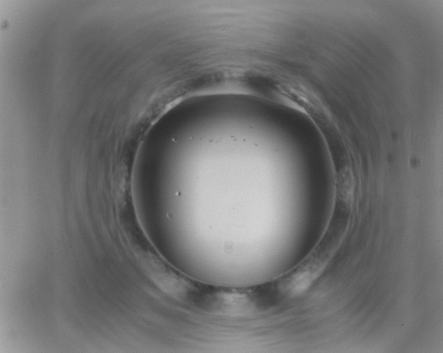 X0000065240509200602242028