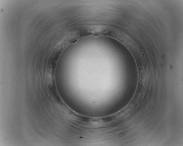 X0000065240510200602242028