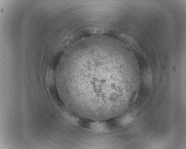 X0000065240511200602242028