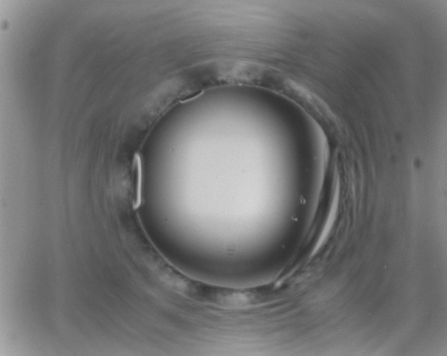 X0000065240513200602242028