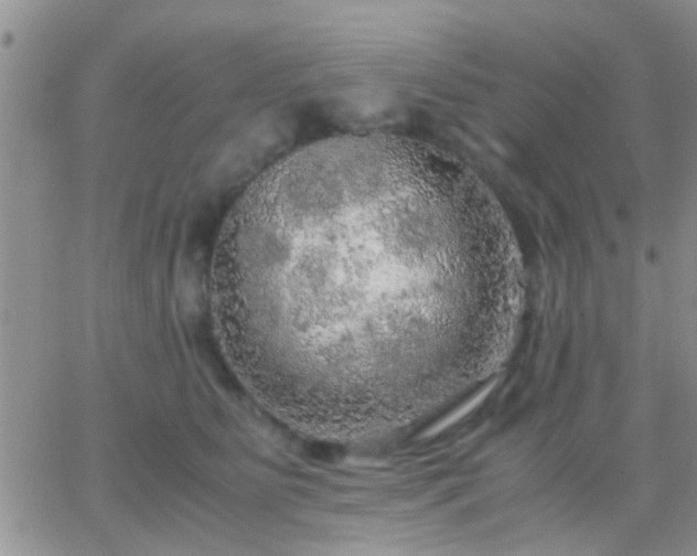 X0000065240515200602242028