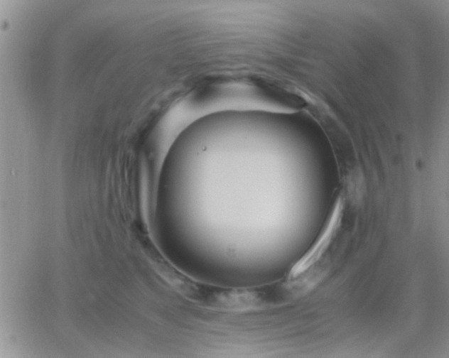 X0000065240517200602242028