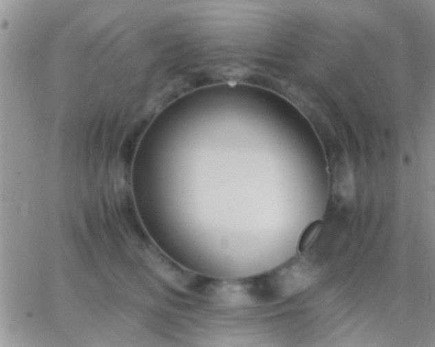 X0000065240518200602242028