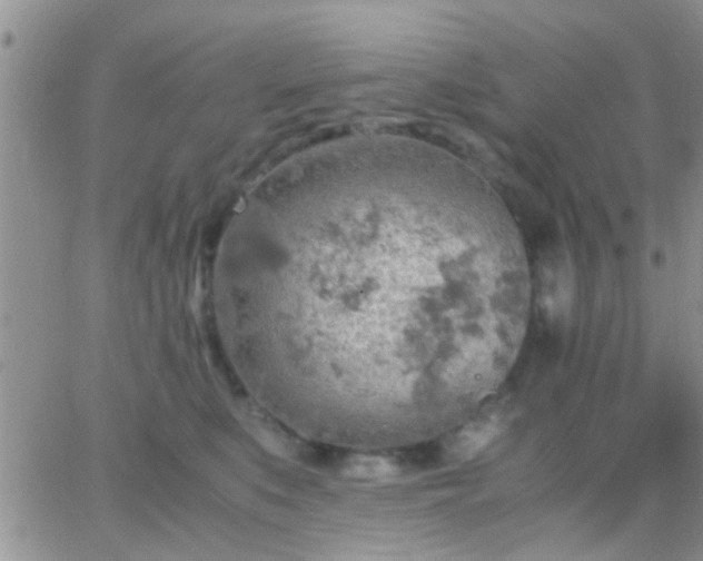 X0000065240519200602242028