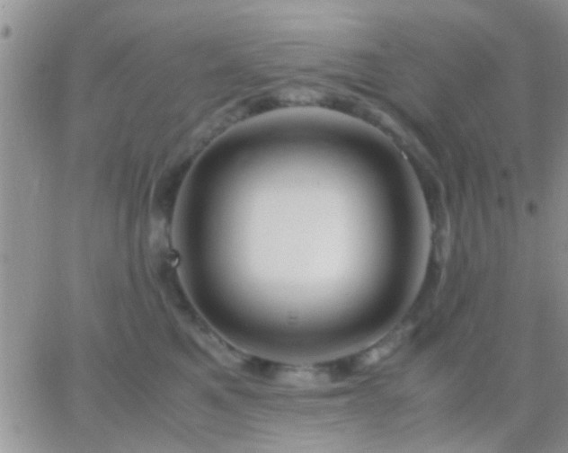 X0000065240521200602242028