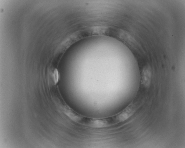 X0000065240522200602242028