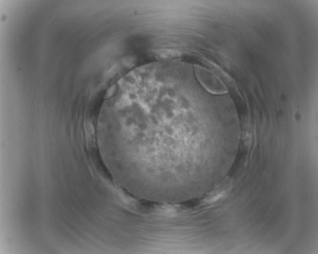 X0000065240523200602242028