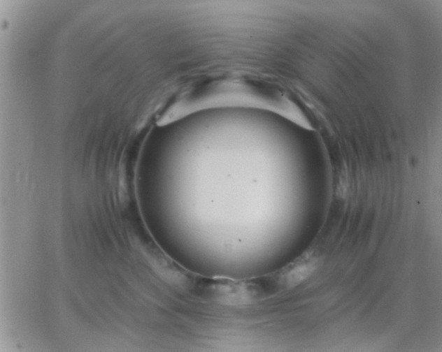 X0000065240524200602242028