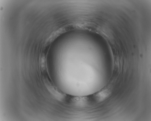 X0000065240526200602242028