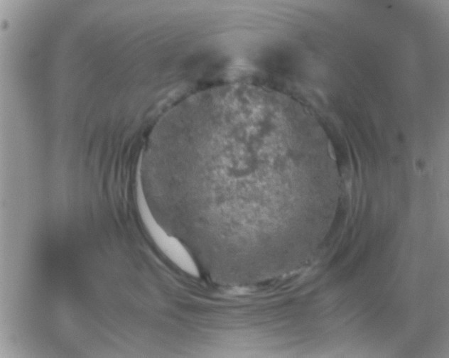 X0000065240527200602242028