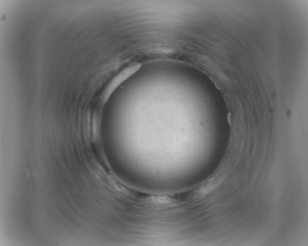 X0000065240528200602242028