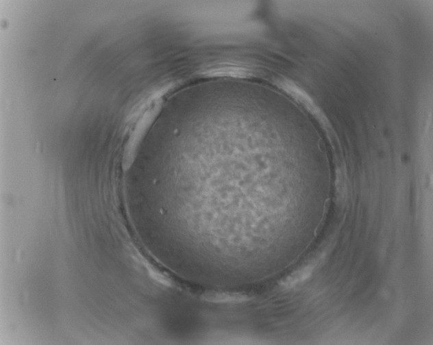 X0000065240529200602242027