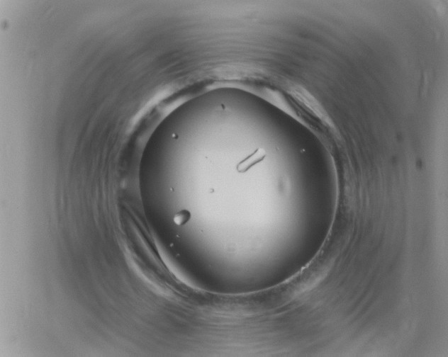 X0000065240530200602242027