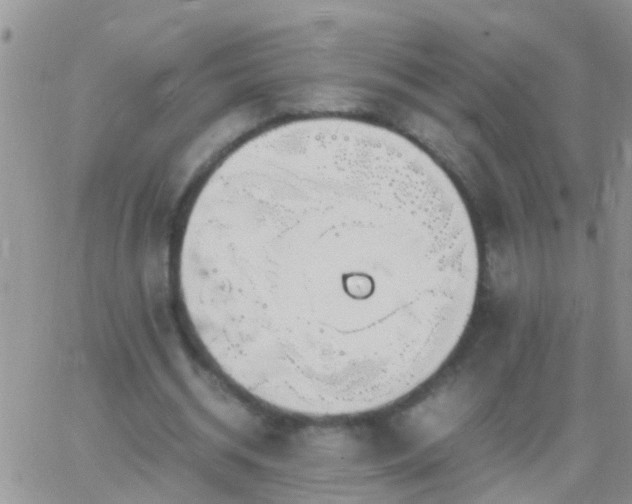 X0000065240534200602242027